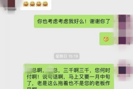 漯河漯河的要账公司在催收过程中的策略和技巧有哪些？